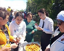 Студенты АГПК приняли участие в качестве волонтеров в  масштабном празднике «Жайлау той»